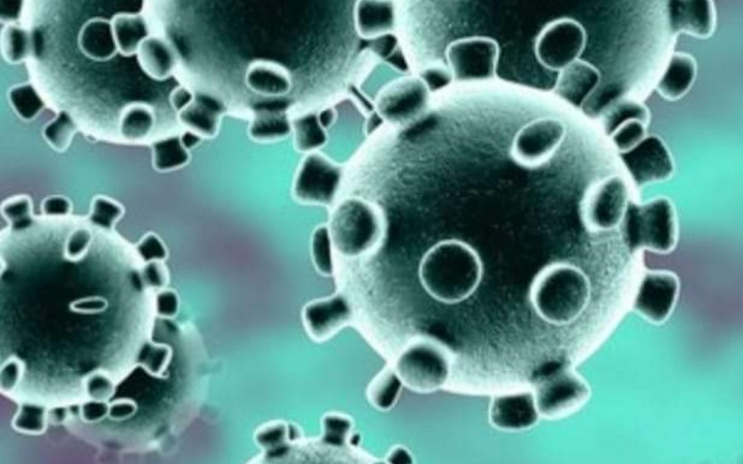 Coronavirus & what you can do to safeguard/improve your general health